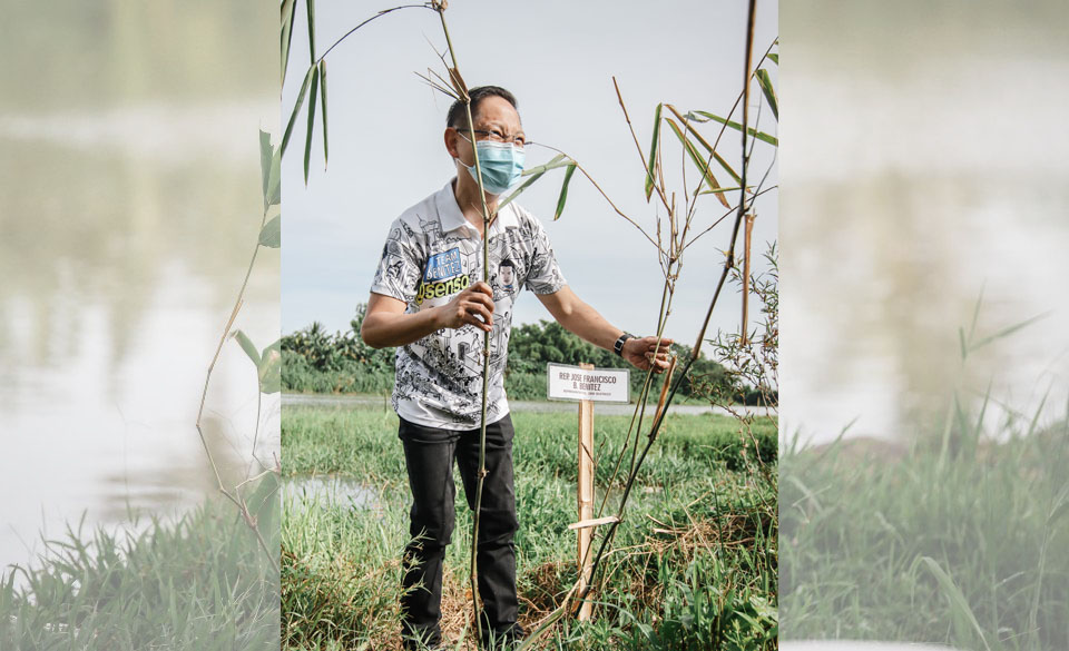 Bamboo Planting At Malogo Watershed