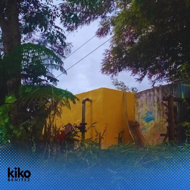 Water System Project in Silay City