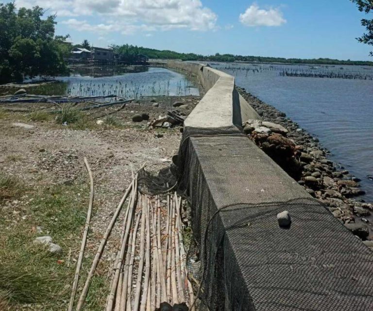 Look: Tuburan Water Breaker and Mambulac Training Center