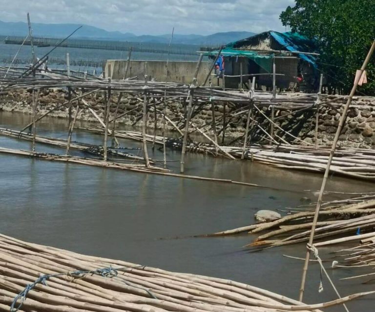 Look: Tuburan Water Breaker and Mambulac Training Center